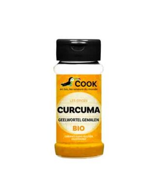 Curcuma poudre 35g Bio