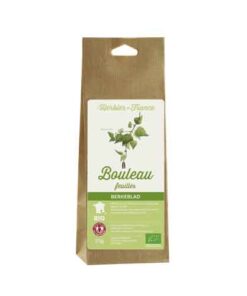 Bouleau feuilles  Bio