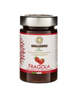 Erdbeeraufstrich 100% Fruchte 220g Bio