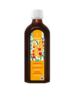Sanddorn Vital Saft 250 ml