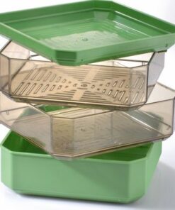 Tray-Keimling