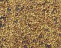 Alfalfa - Watercress - Red cabbage to sprout - Image 2