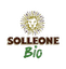 Solleone